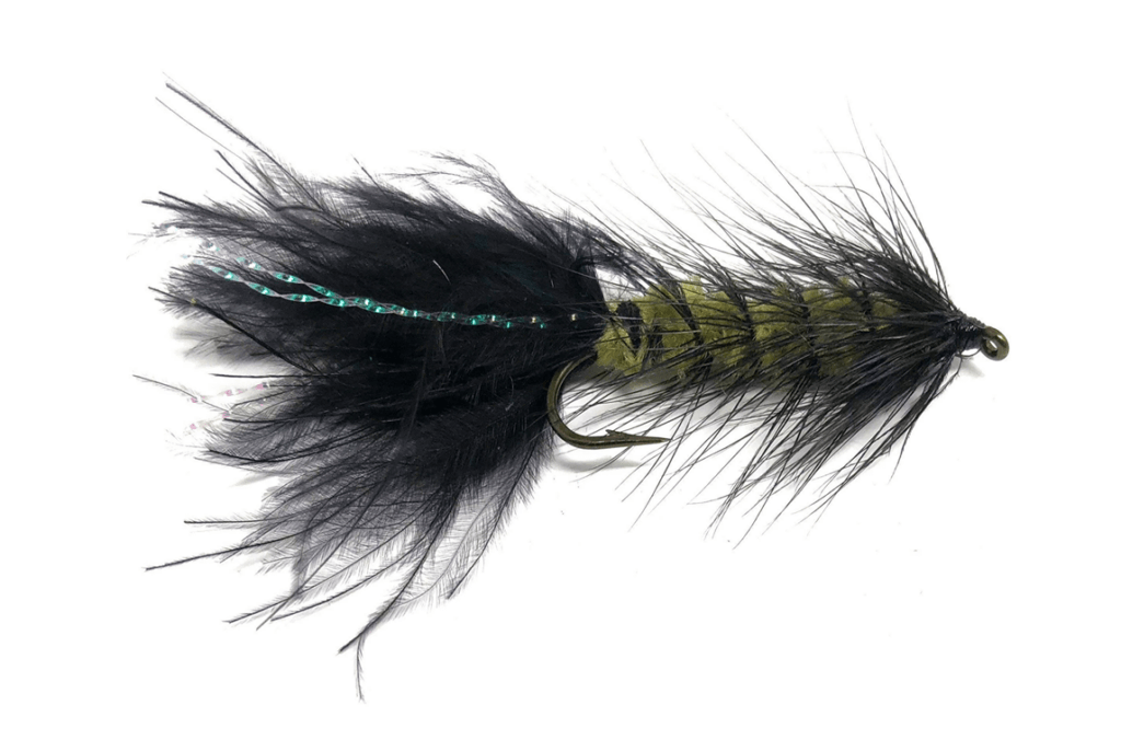 Woolly Bugger Fly